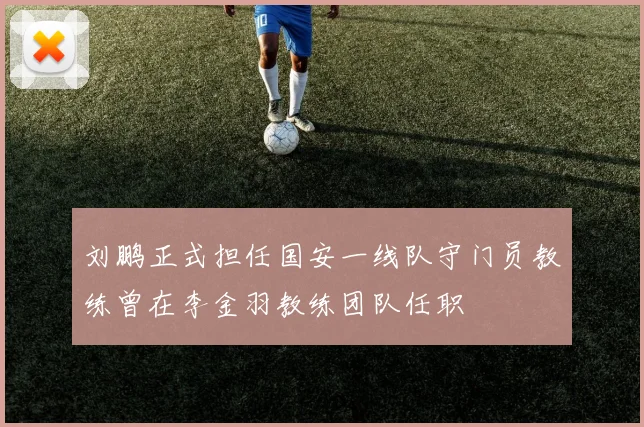 刘鹏正式担任国安一线队守门员教练曾在李金羽教练团队任职
